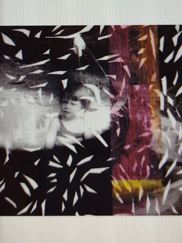 7 Sunfish photographic print on transparency GSkudera