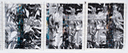 Gail-Skudera Passport-Panels 6-8 15x36-woven-mixed-media