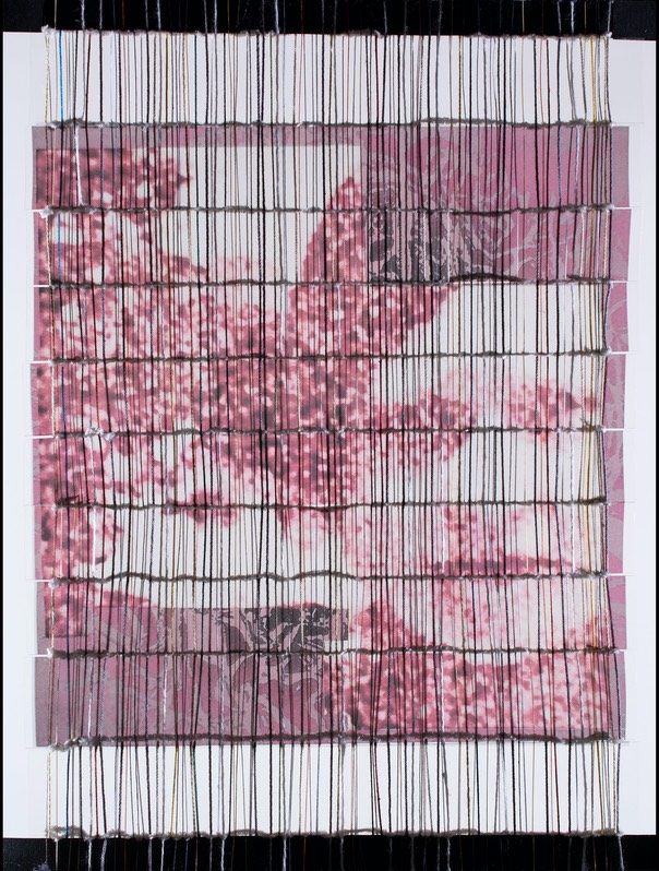Panel-2 12-x-8.5-inches woven-transparency